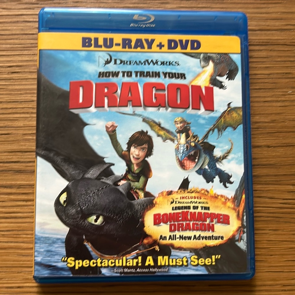 How To Train Your Dragon. 2 Disc Set. Blu-ray and DVD. Excellent Condition.